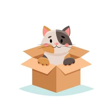 Adopt a pet - cute cat in a box, isolated on white background Illustration