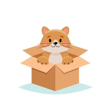 Adopt a pet - cute cat in a box, isolated on white background Illustration