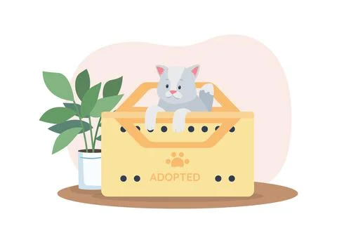 Adopting grey cat 2D vector web banner, poster Illustrazione stock