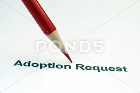 Adoption request Stock Photos