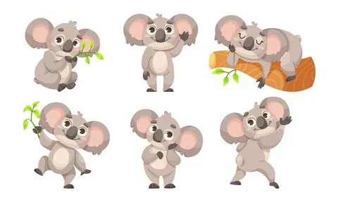 Adorable and Cute Koala Illustrations Featuring a Range of Various Poses and Stock Illustration