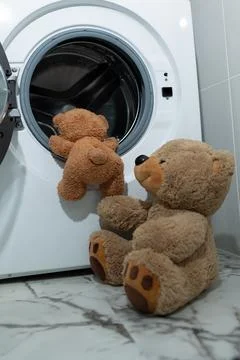 Adorable and Extra Cute Teddy Bears Are Happily Playing Together Around a Stock Photos