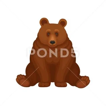 Adorable brown bear sitting isolated on white background. Large forest grizzly Stock Illustration
