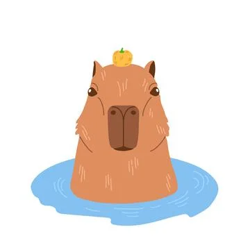Adorable capybara with small orange fruit on its head relaxing in hot sprin.. Stock Illustration