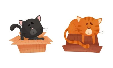 Adorable cats in boxes set. Funny black and red cat sitting and sleeping with Stock Illustration