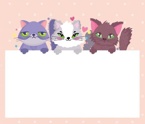 Adorable cats pet animals with banner Stock Illustration