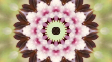 Adorable circle kaleidoscopic pattern of pink cherry blossom. Vidéo 57683551