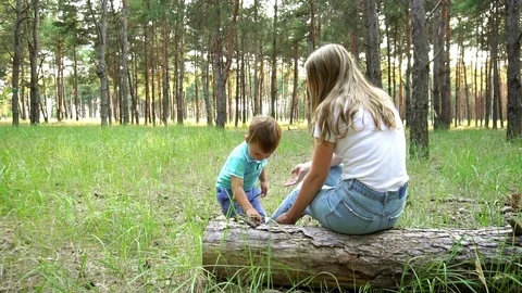 Adorable curious child examines a fallen tree his young sister is sitting on in Stock Footage 104419429