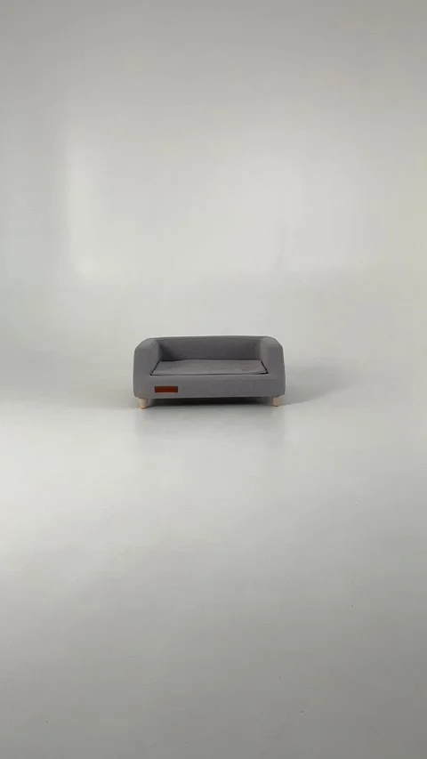 An Adorable Cute Teddy Bear Standing Next to a Stylish Modern Couch in a Cozy Stock Footage 305402553