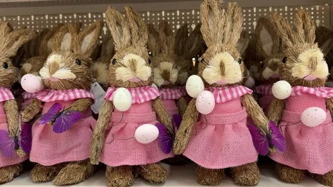 Adorable Easter Bunny Dolls Wearing Pink Dresses With Decorative Eggs Stock Footage 327796079