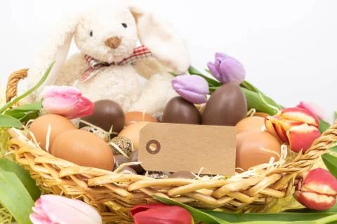 Adorable Easter Bunny stuffed in an Easter egg hunt basket Stock Photos
