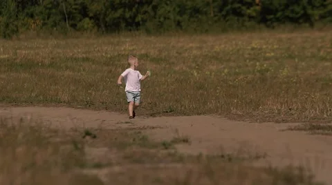 Adorable fair-haired boy flies a colorful kite in green field Stock-Footage 68206385