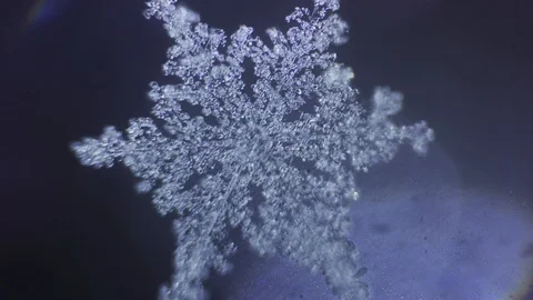 Adorable fishnet snowflake melts Vídeo Stock 88450979