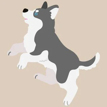 Adorable flat colored grey Husky dog jumping illustration Stock Illustration