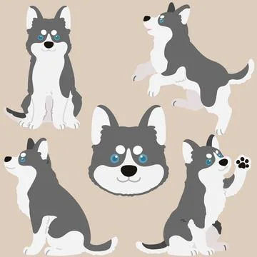Adorable flat colored grey Husky dog illustrations Stock Illustration