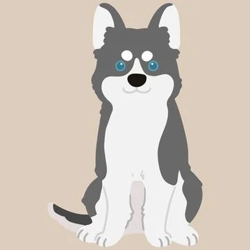 Adorable flat colored grey Husky dog sitting illustration Stock Illustration