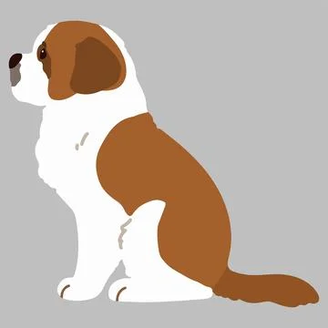 Adorable flat colored Saint Bernard Dog illustration Sitting in side view Stock Illustration