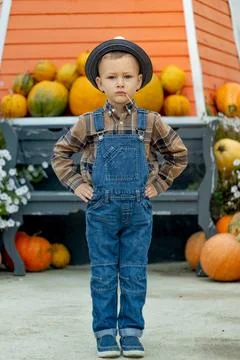 Adorable little boy at pumpkin patch with hands in his pockets in rustic ranch Stock-Fotos