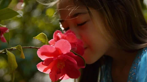 Adorable Little Girl Enjoys The Smell Of A Flower Stock Footage