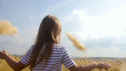 Adorable little girl playing in the wheat field on a warm summer day. Preschoole Stock Footage