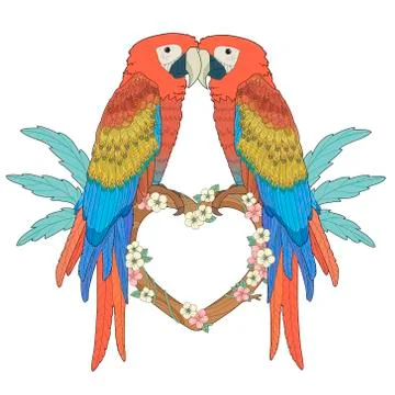 Adorable parrots Stock Illustration