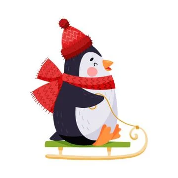 Adorable Penguin with Red Cheeks in Warm Hat Sledging Vector Illustration Stock Illustration