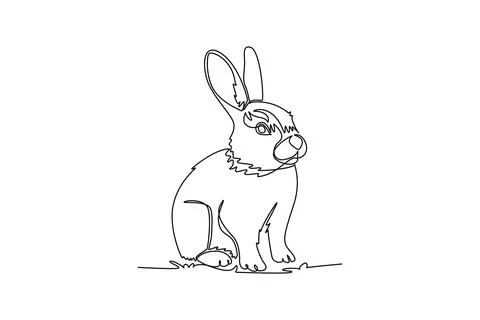Adorable pet rabbit sitting alert with upright ears, showcasing its fluffy coat Ilustração Stock