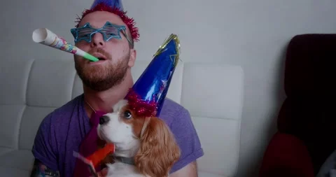 Adorable puppy and cute young boy enjoying a big colorful celebration Stock Footage