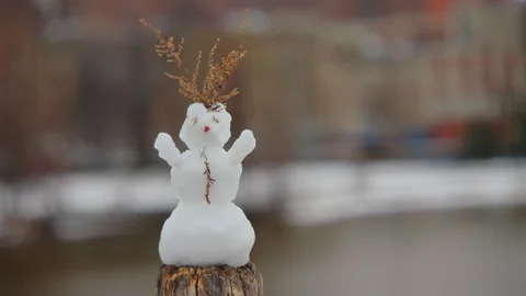Adorable snowman on tree stump with red berry buttons and twig arms in Central P Stock Footage 309306584