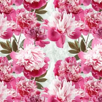 Adorable springtime seamless pattern with peony Stock Photos