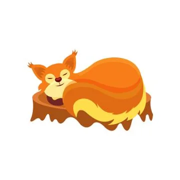 Adorable squirrel sleeping on tree stump. Small forest animal with red fur Stock Illustration