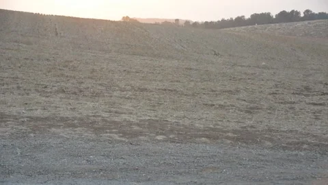 Adorable sunset with clouds. soft focus Stock-Footage 249376725