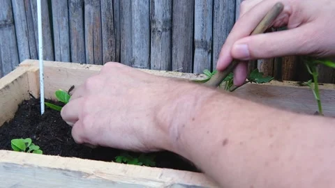 Adorable tiny shovel used to dig hole in garden box to plant seedling Stock Footage 319835732