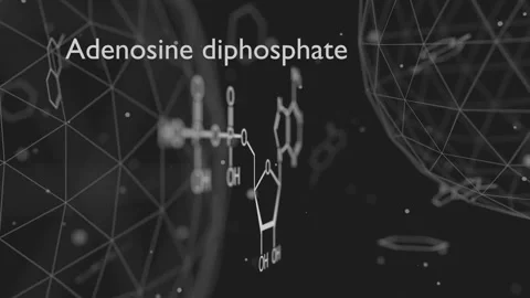 ADP or adenosine diphosphate molecular structure. DNA and RNA building block Stock Footage 242140781