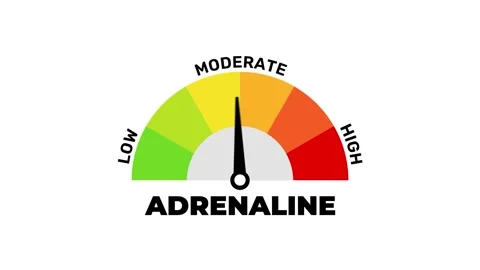 Adrenaline Level Meter Animation. Low, Moderate and High Gauge Indicator Video stock 321345632