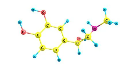 Adrenaline molecular structure isolated on white Stock Illustration