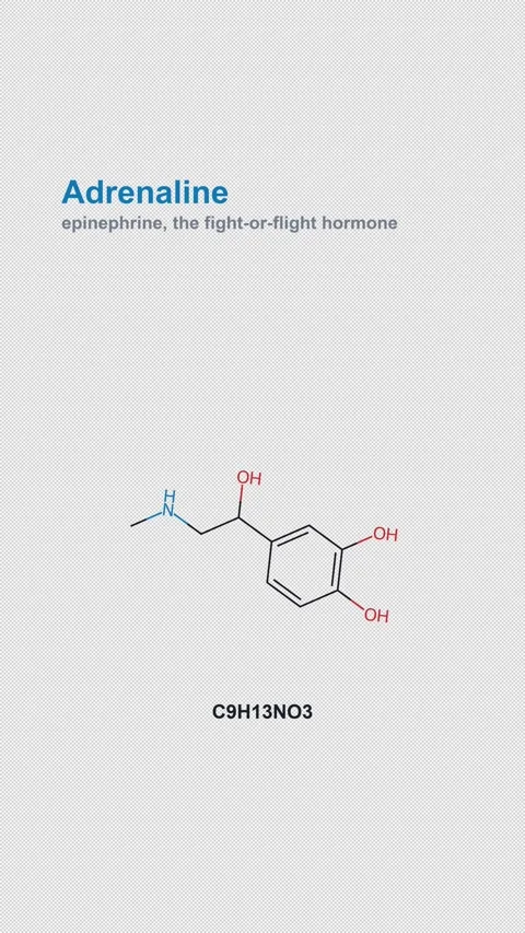 Adrenaline Molecular Structure Labeled Chemistry Alpha 4K Vertical 9x16 Light Stock Footage 340007479