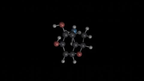 Adrenaline Molecule Building Animation on Black Background Vídeos de archivo 344701980