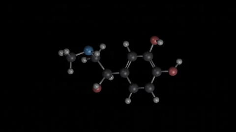 Adrenaline Molecule Rotating on Black Background Vídeos de archivo 344701981