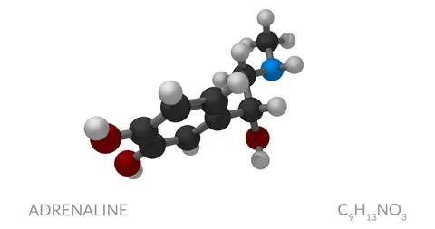 Adrenaline molecule, rotating seamless loop, 3d animation, 4k 30fps Vídeos de archivo 91876913