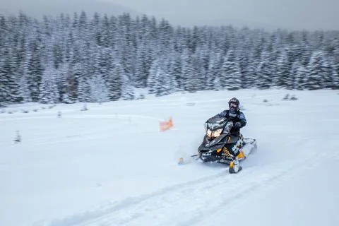 Adrenaline Rush Chronicles Stock Photos