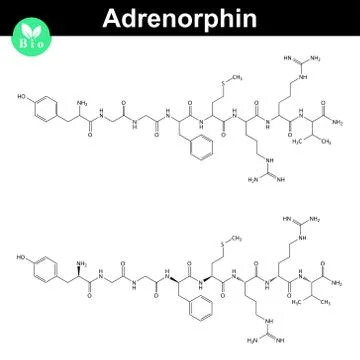 Adrenorphin molecular structure Stock-Illustration