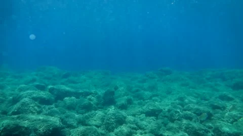 Adriatic Sea Stock Footage 229874342