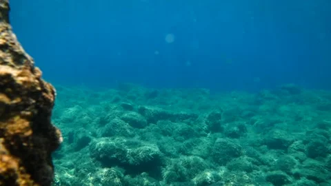 Adriatic Sea Stock Footage 229874366