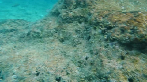 Adriatic Sea Stock Footage 229874921