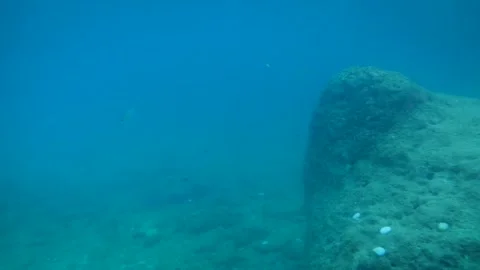 Adriatic Sea Stock Footage 229874992