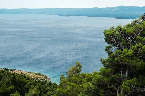 Adriatic Sea View From Pine Forest Stock Photos