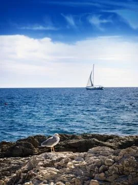 Adriatic staff Stock Photos