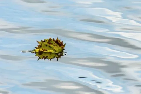 Adrift 库存照片