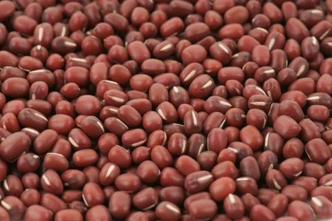Aduki bean background Stock Photos